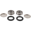 Pivot Works Swing Arm Bearing Kit for 2006-2009 Arctic Cat 250