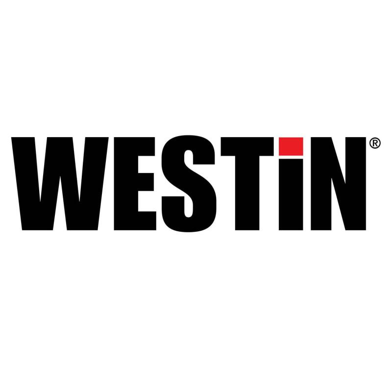Westin WES Nerf Bars - PRO TRAXX 4