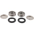 PIVOT WORKS SWING ARM KIT