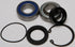 ALL BALLS RACING 14-1001 Chaincase Bearing and Seal Kit — alternate view 2