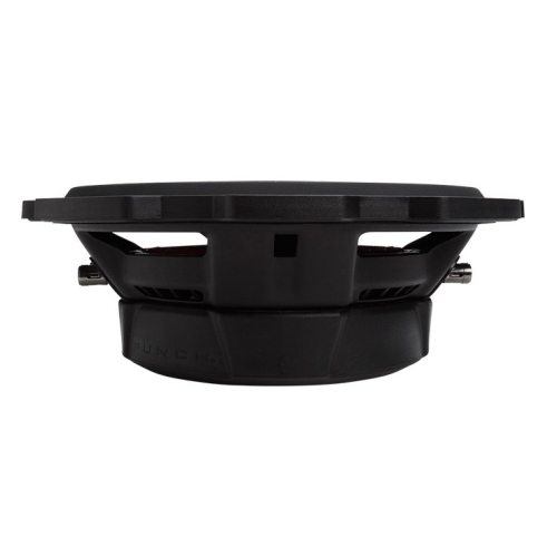 Rockford Fosgate P3SD2-10 2 Ohm 10 Inch Shallow Subwoofer